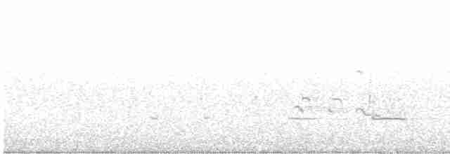 Чирянка мала (підвид carolinensis) - ML616180455
