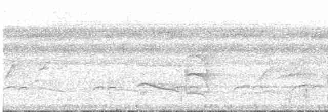Amazonien-Strichelameisenschlüpfer - ML616180554