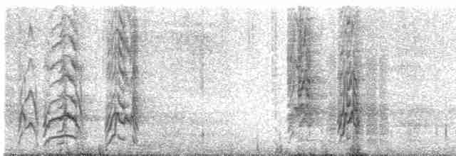 Conure magellanique - ML616180687