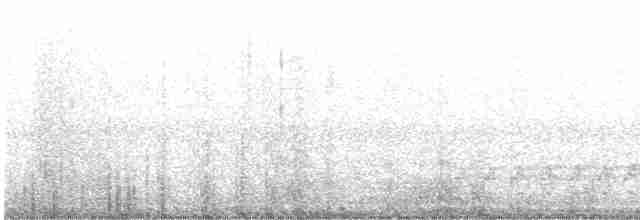 Kuzey Amerika Kara Ağaçkakanı - ML616182203