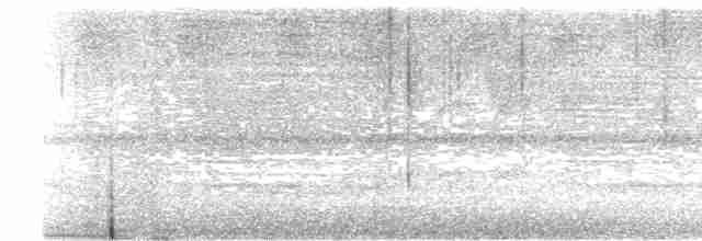 Weißkehl-Ameisenvogel - ML616182835
