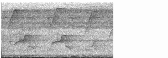 Планідера сіра - ML616185382