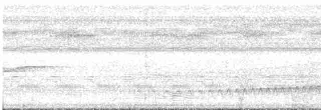 Striped Woodcreeper - ML616185404