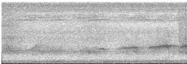 svarthakemaurvarsler - ML616187054
