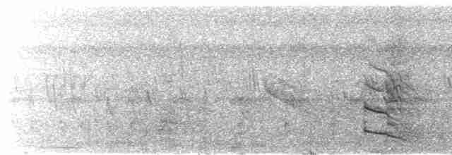 riksetrane (pictus gr.) - ML616187905