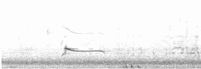 Black-bellied Plover - ML616188340