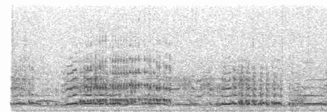 Cygne siffleur - ML616189204