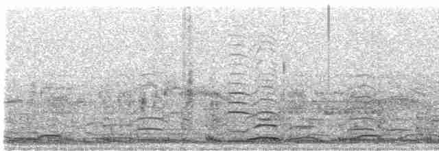 Cygne siffleur - ML616189247