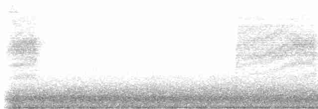 Длиннохвостый крапивник - ML616193700