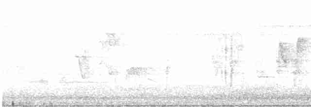Гвінейниця жовтогруда - ML616194382