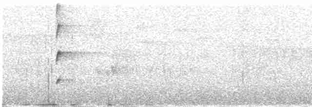 Чернокрылый толстонос - ML616194563