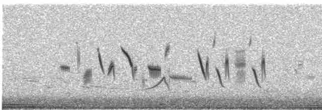 Bell Serçesi (canescens) - ML616194709