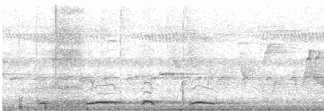 Géopélie à nuque rousse - ML616194827