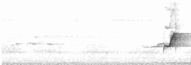 Rufous Whistler - ML616194919