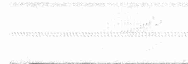 Troglodyte à poitrine tachetée - ML616194942