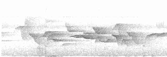 Troglodyte des halliers - ML616195107