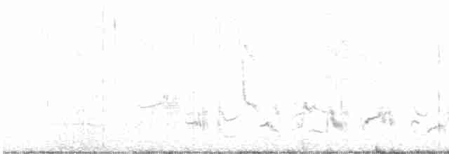 Кактусовый пересмешник - ML616195295