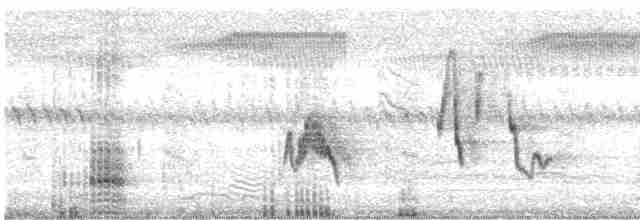 Гвінейниця жовтогруда - ML616195505