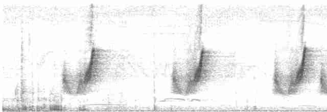 Вертлявая миагра - ML616195515