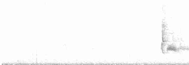 Серогрудый тиранн - ML616196687