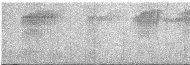 White-eared Sibia - ML616196755