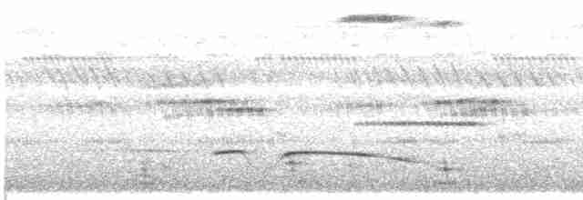 Riesennachtschwalbe - ML616197558