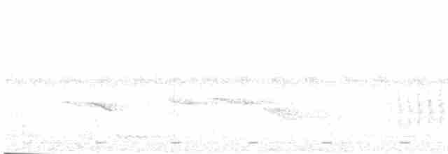 Рыжехвостая мухоловка - ML616198278