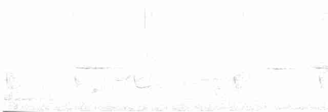 Малабарский трогон - ML616198297
