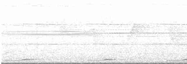 Сова-голконіг далекосхідна - ML616198966