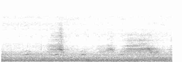 裏海燕鷗 - ML616199264
