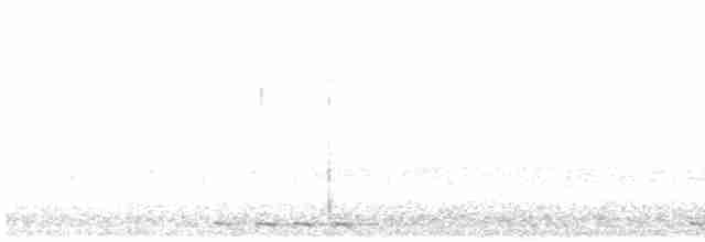 Black-billed Cuckoo - ML616199278