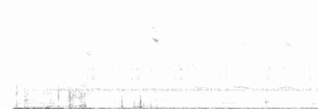 Spotless Crake - ML616199606