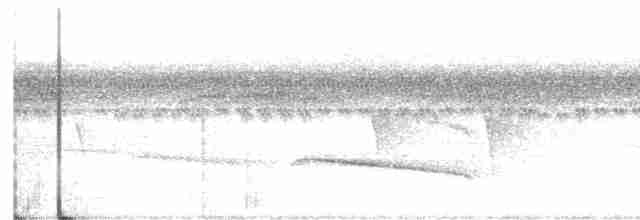 Tufted Antshrike - ML616200293