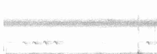 Rufous-margined Antwren - ML616200311