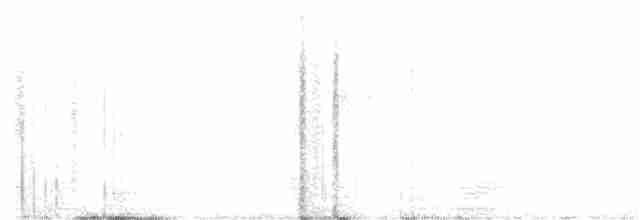 Zimtbauch-Ameisenfänger - ML616200322