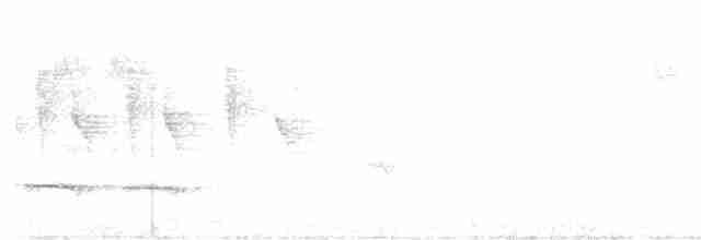 Rostrücken-Ameisenfänger - ML616200341