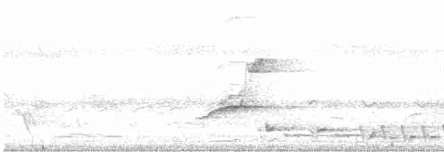 Светлоклювый питуи - ML616200646