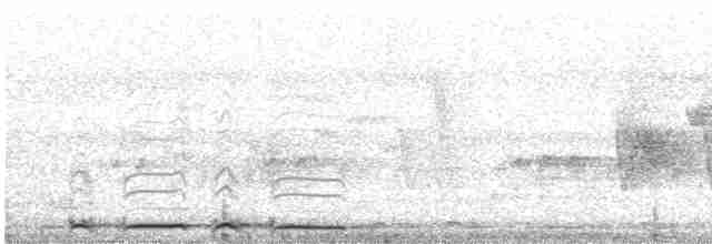Géopélie à nuque rousse - ML616200654