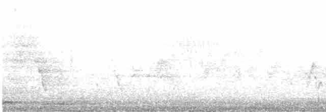 Міагра блискучопера - ML616200664