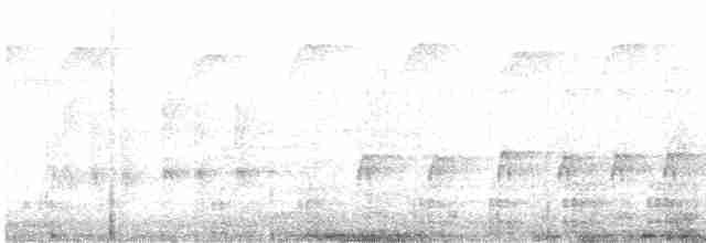 husice bělohlavá - ML616200676
