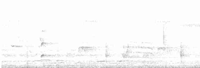 orel bělobřichý - ML616200710