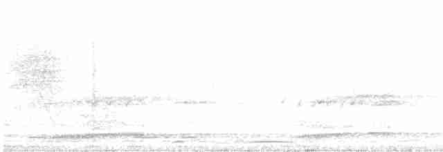 luňák hvízdavý - ML616200711