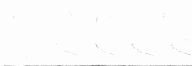 アメリカツリスガラ - ML616200816