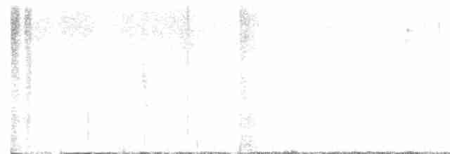 Common Yellowthroat - ML616200842
