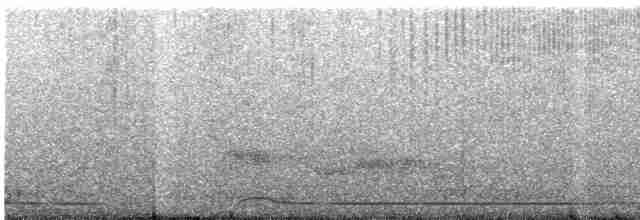 holub východní - ML616201331