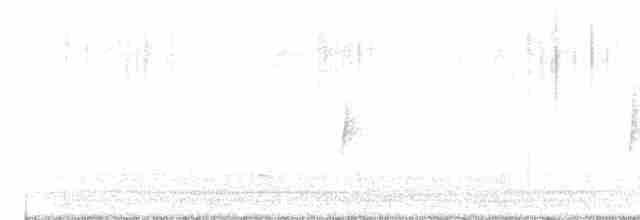 Küçük Boreal Sinekkapan - ML616201435