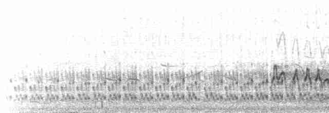 שחפית אלאוטית - ML616201979