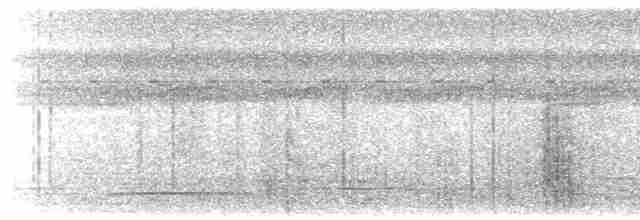 Thicket Tinamou - ML616202356