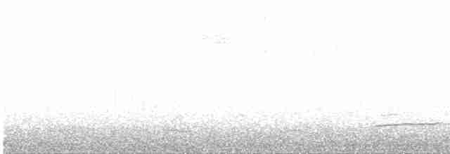 Eurasian Curlew - ML616202782