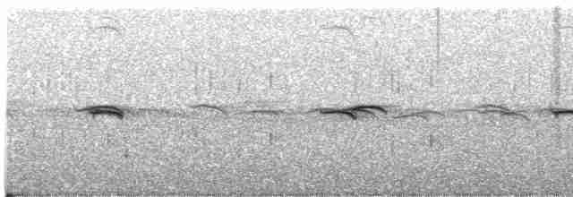 Австралийская сипуха - ML616202835